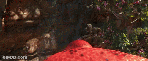 Red Snake With Mouth Open In Woods GIF