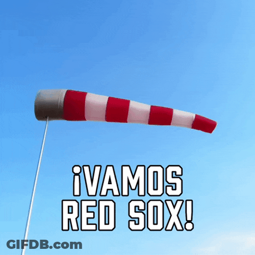 Red Sox GIF