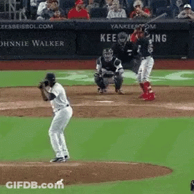Red Sox GIF