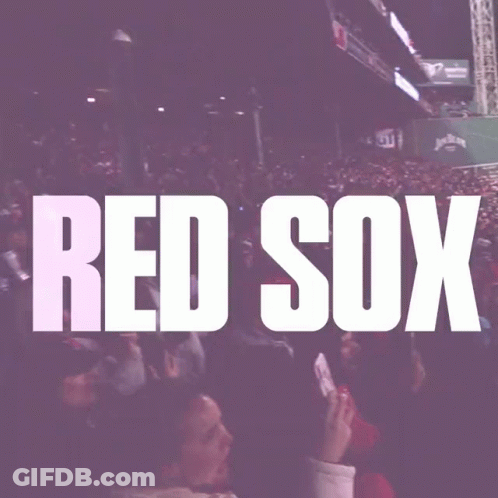 Red Sox Sign In Crowd GIF