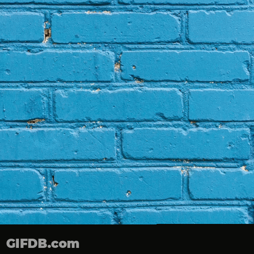 Red Sox Win On Blue Brick Wall GIF