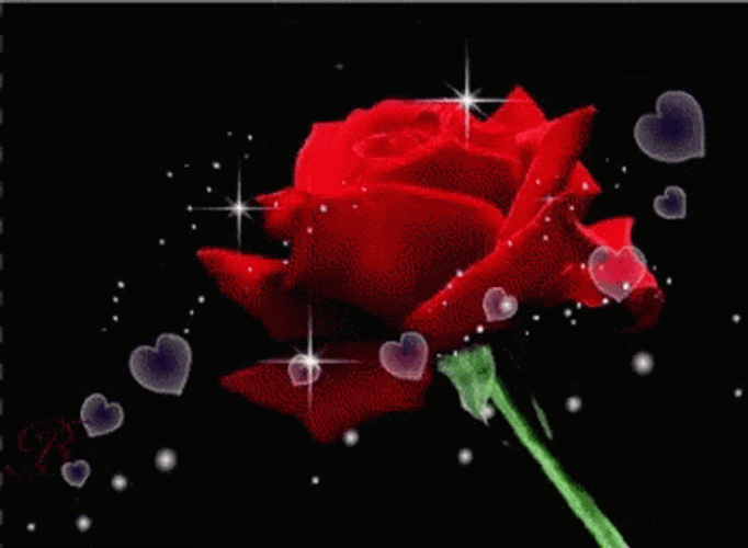 Red Sparkly Flores GIF
