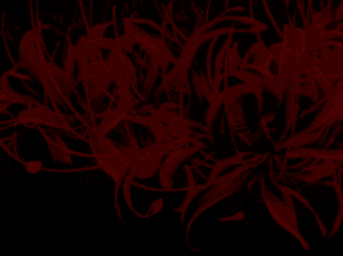 Red Spider Lilies Anime Flower GIF