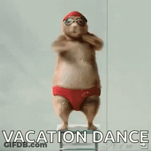 Red Swim Trunks Hamster With Goggles On Ladder GIF