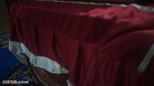 Red Table Cloth With White Ruffles GIF