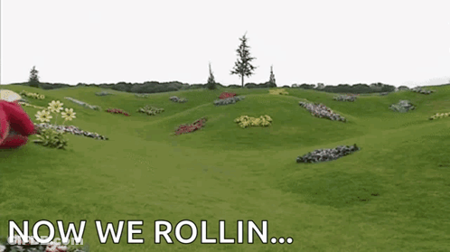 Red Teddy Bear Laying On Grass Saying Now We Rollin GIF