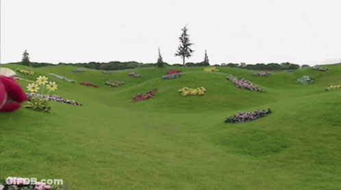 Red Teddy Bear Lying On Grass GIF