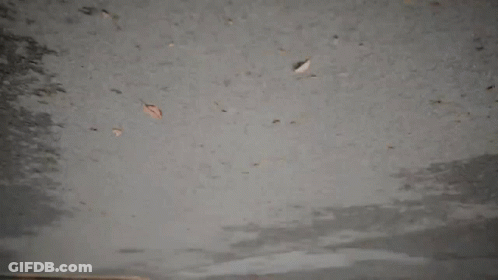 Red Telephone Booth Reflected In Puddle GIF