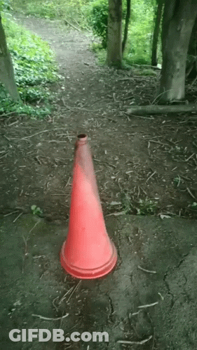 Red Traffic Cone In Woods GIF