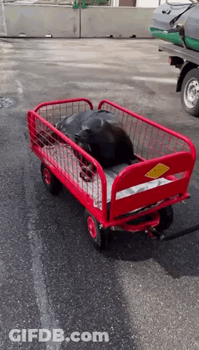 Red Wagon With Pure Sign GIF