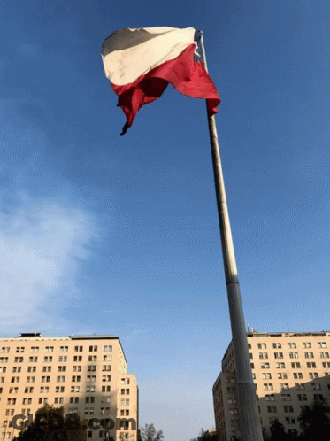 Red White And Blue Flag Flies In Wind GIF