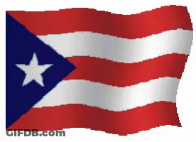 Red White And Blue Flag With Star GIF