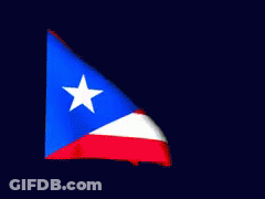 Red White And Blue Flag With Star GIF