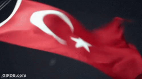 Red White And Blue Flag With Star Waving GIF