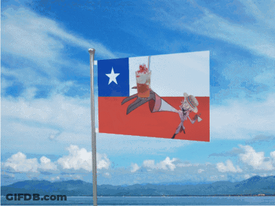 Red White And Blue Flag With White Star GIF