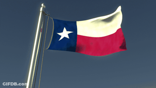 Red White And Blue Flag With White Star GIF