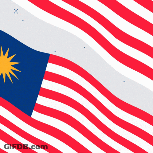 Red White And Blue Flag With Yellow Star GIF