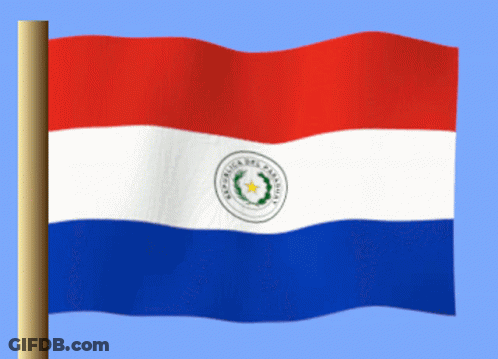 Red White And Blue Paraguay Flag GIF