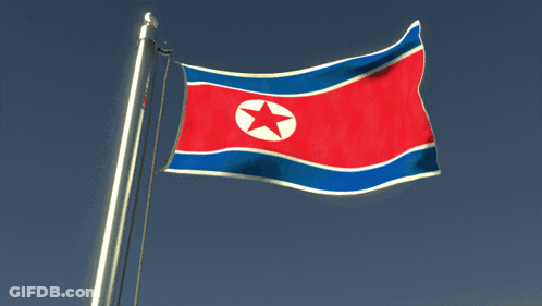 Red White And Blue Star Flag GIF