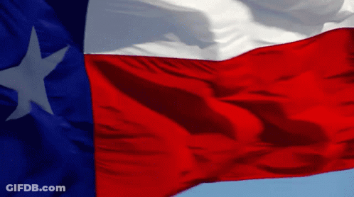 Red White And Blue Texas Flag With Star GIF