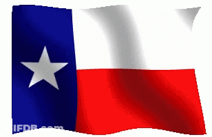 Red White And Blue Texas Flag With White Star GIF