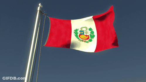 Red White And Green Flag Flying In Wind GIF