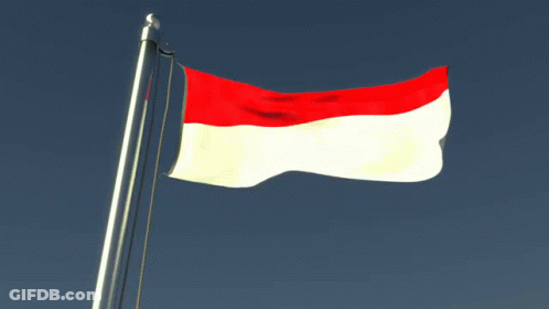 Red White And Green Flag Flying In Wind GIF