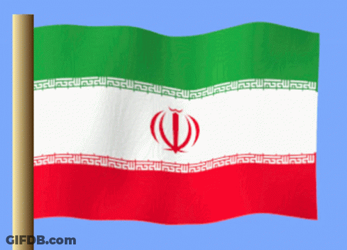 Red White And Green Flag With Red Circle GIF