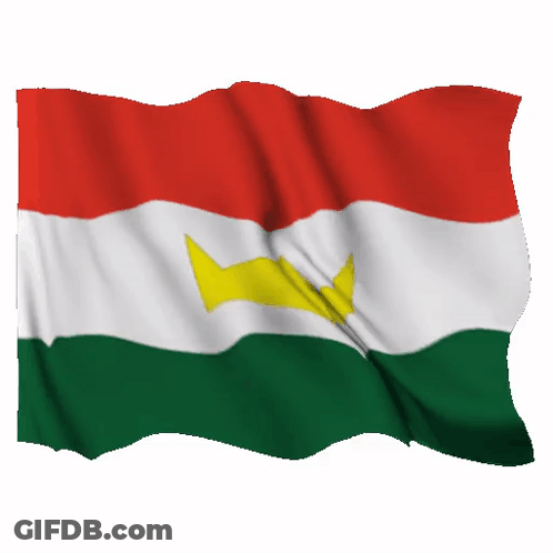 Red White And Green Flag With Yellow Crown GIF