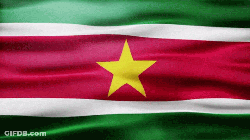 Red White And Green Flag With Yellow Star GIF
