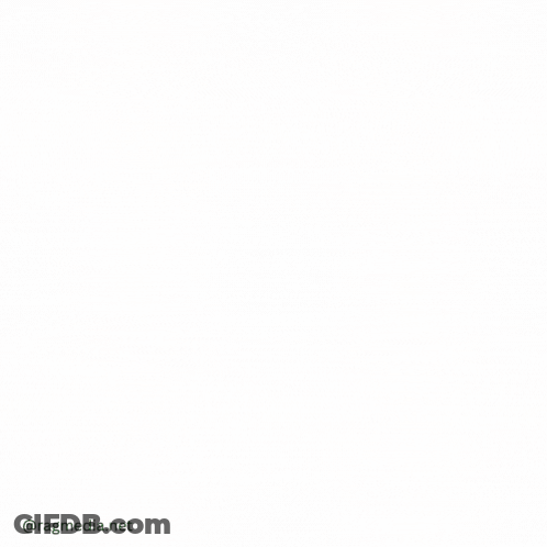 Red, White And Green Flag With Yellow Sun GIF