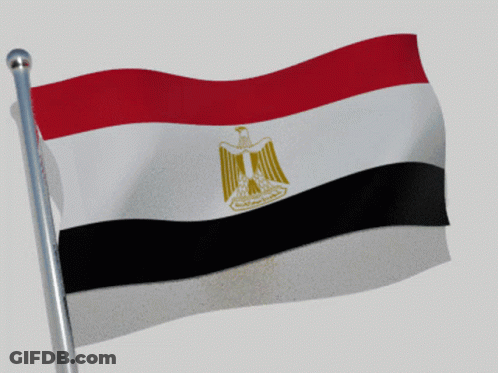 Red White Black Flag With Eagle Flying In Wind GIF