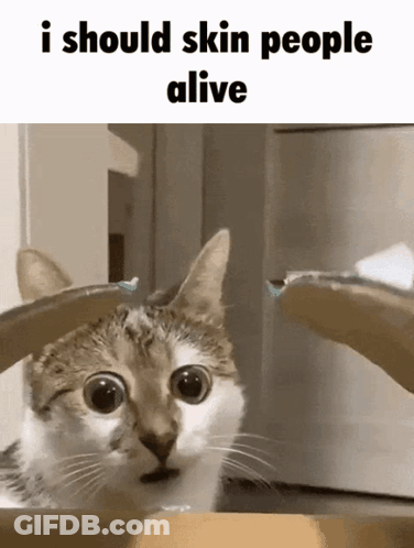 Red White Blue Flag Long Live The Republic GIF