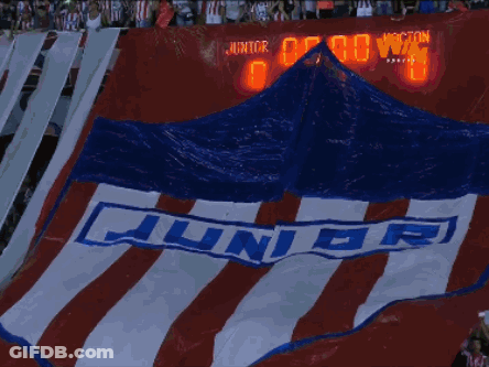Red White Blue Striped Banner Saying Junior GIF