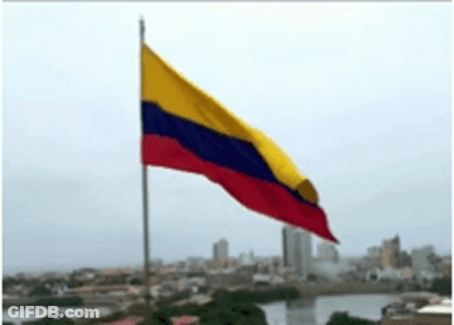 Red, Yellow, And Blue Flag Flying GIF