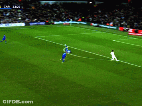 Redfox9 Leeds United GIF