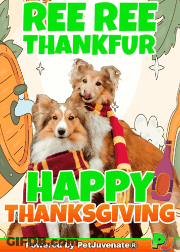 Ree Ree Thankfur Happy Thanksgiving Poster With Two Dogs Wearing Scarves GIF
