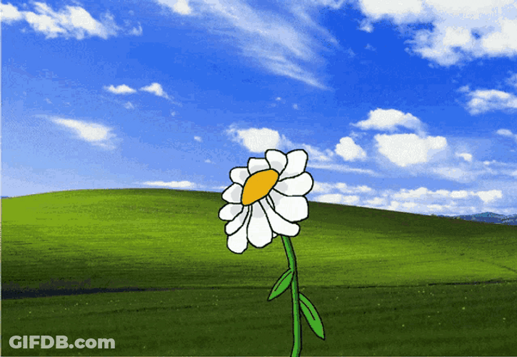 Reeee Scared Pepe The Frog GIF