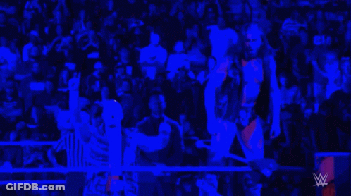Referee And Wrestler In Ring With Crowd GIF