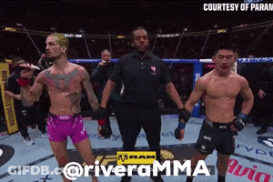 Referee Between Fighters In Boxing Ring Riveramma GIF