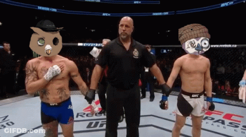 Referee Between Two Fighters In UFC Boxing Ring GIF