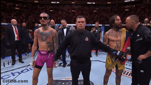 Referee Between Two Fighters In UFC Ring GIF