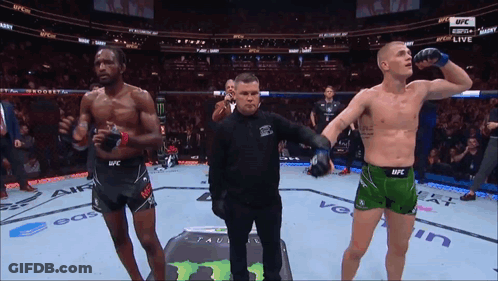 Referee Between Two Fighters UFC Match GIF