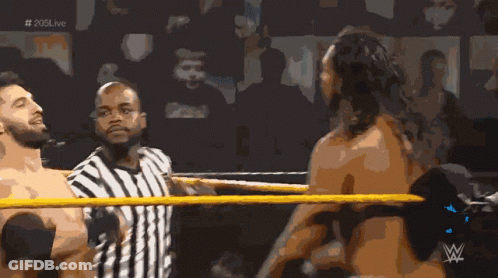 Referee Between Two Wrestlers GIF