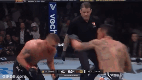 Referee Between UFC Fighters GIF