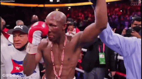Referee Congratulating Man With Boxing Gloves And Medal GIF