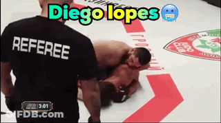 Referee Diego Lopes Watches A Wrestling Match Between Two Fighters GIF