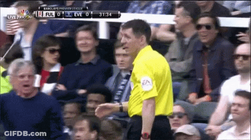 Referee In Front Of Crowd During Soccer Game GIF