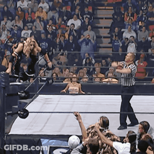 Referee In Front Of Crowd Watching Wrestler GIF