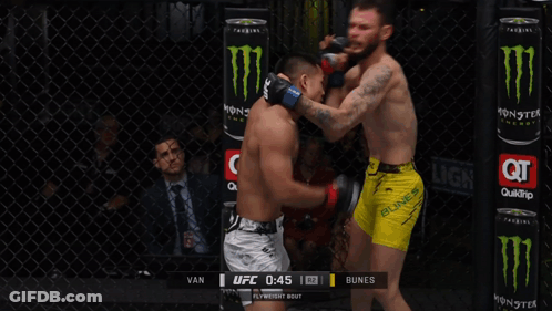 Referee In UFC Cage During Fight GIF